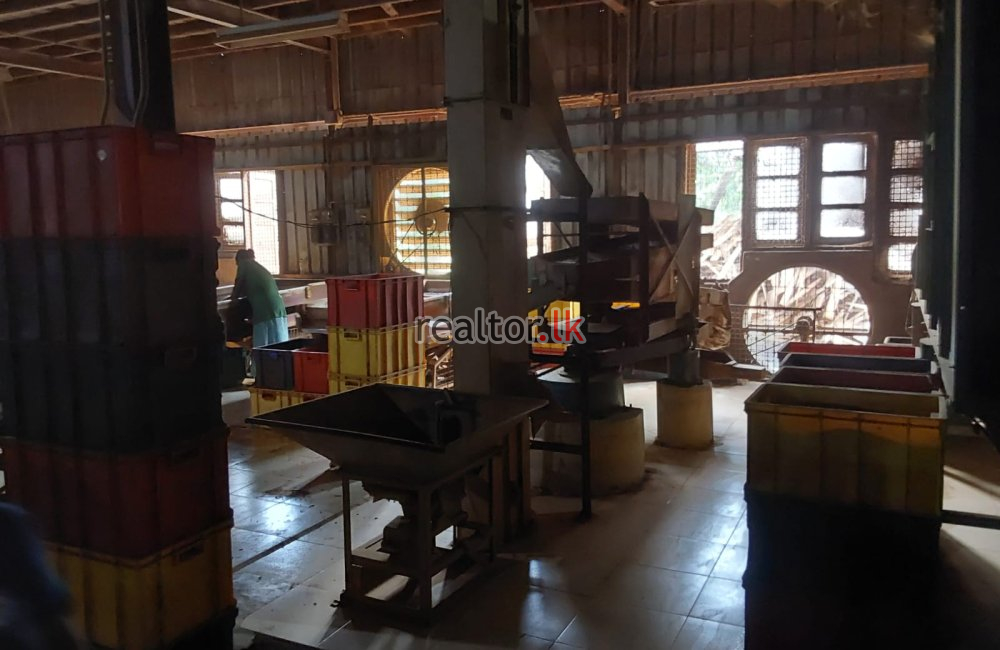 Tea Factory For Sale At Panapitiya