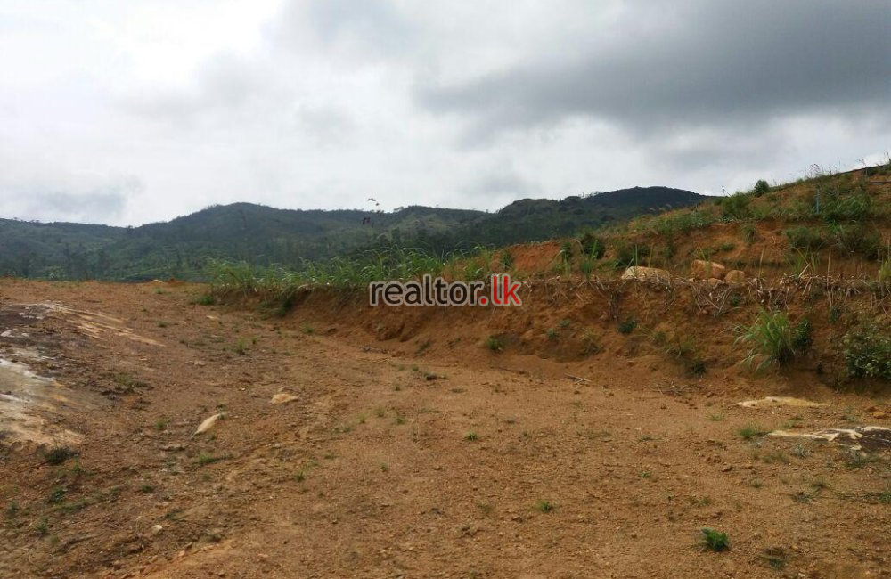 Land For Sale In Nawalapitiya