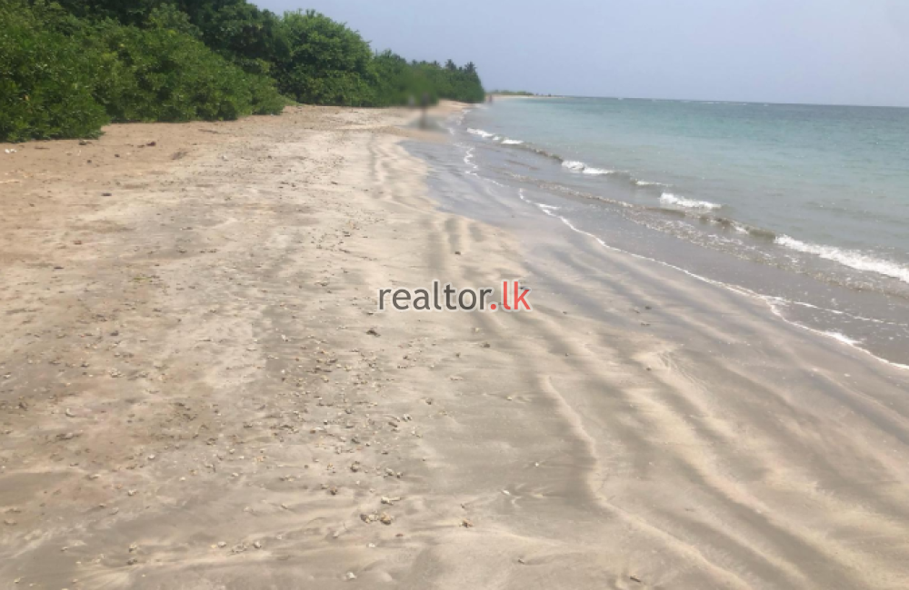 Beachfront Land For Rent In Pasikudah