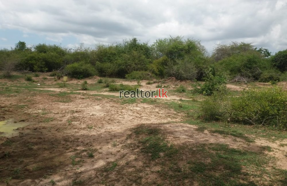 Land For Sale At Hambantota