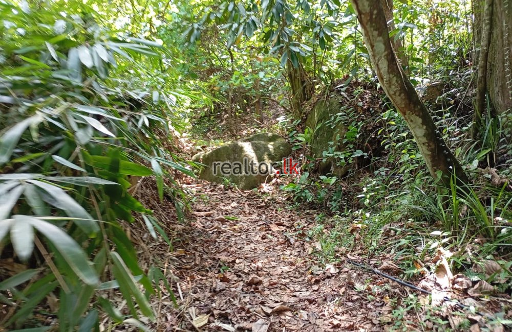 Scenic Land For Sale In Dehiowita