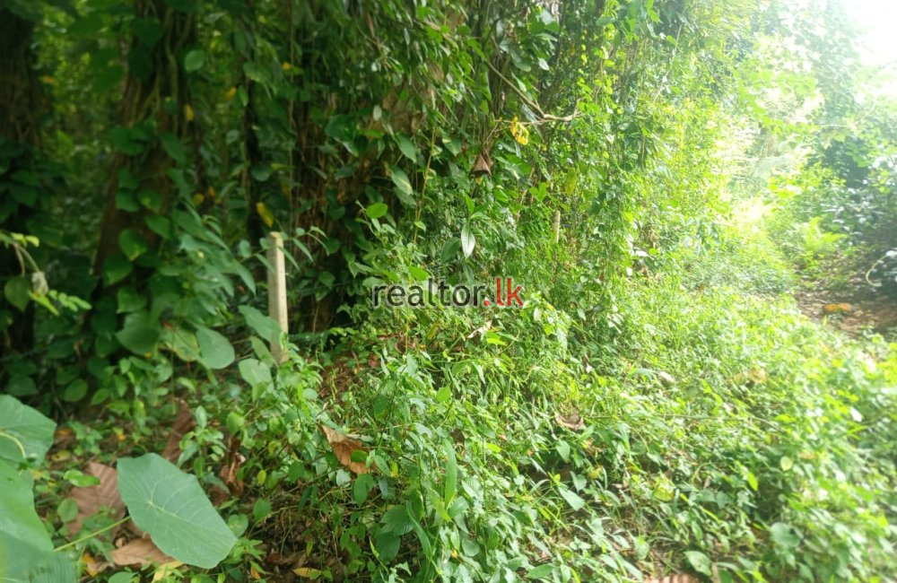 Land For Sale In Hawpe Galle