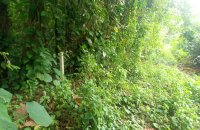 Land For Sale In Hawpe Galle