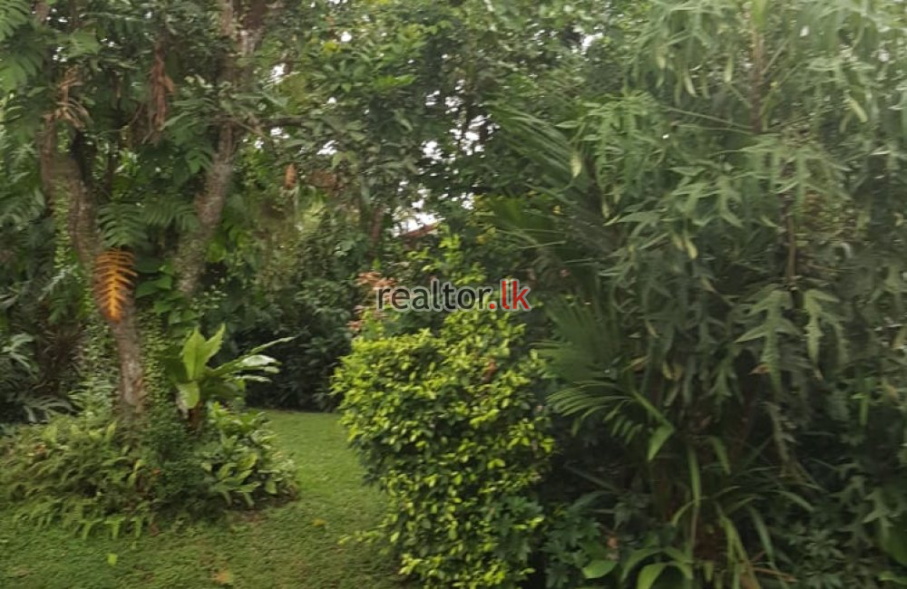 House For Sale At Kottagewatta Rd Battaramulla