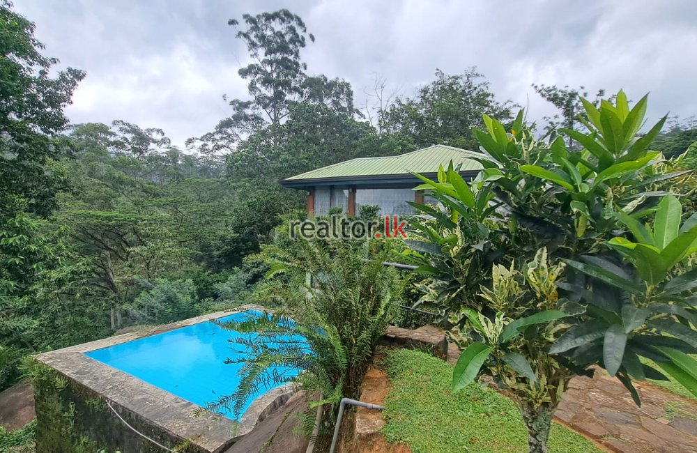 Tea Estate With Bungalow For Sale In Wattegama