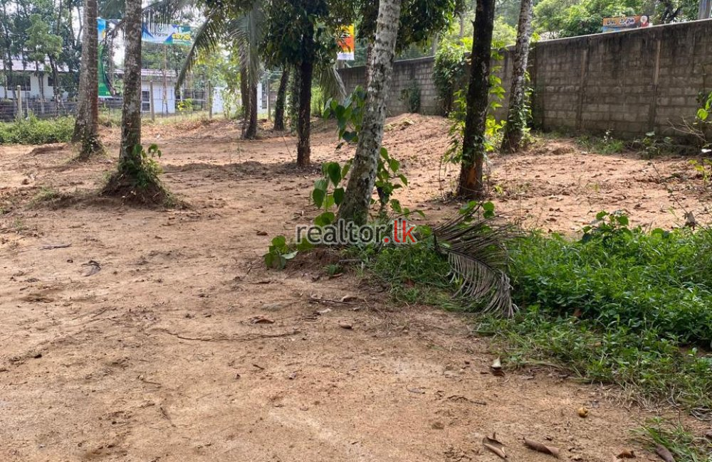 Industrial Land For Sale At Madulawa Rd Padukka