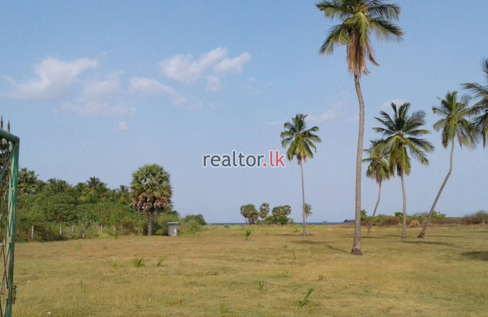 Beach Front Land At Passikudah