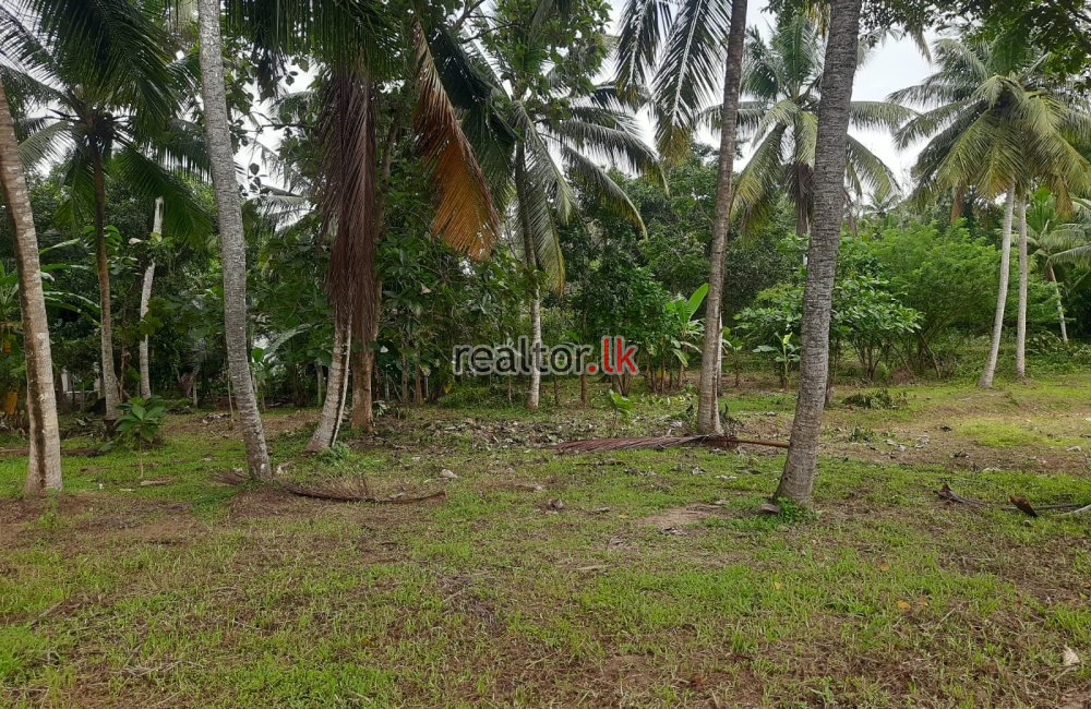 Land For Sale At Katunayake Rd Peellawatta