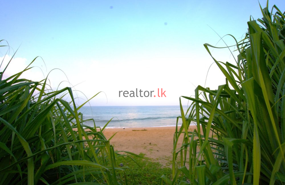Beachfront Land For Sale In Kosgoda Galle