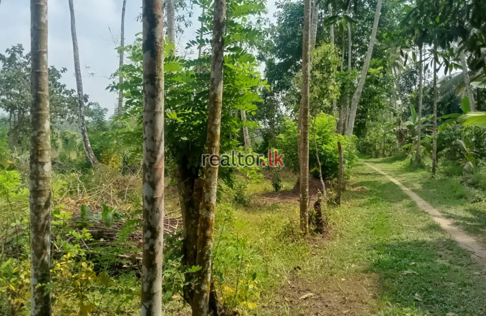 Land For Sale In Ahangama