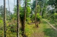 Land For Sale In Ahangama