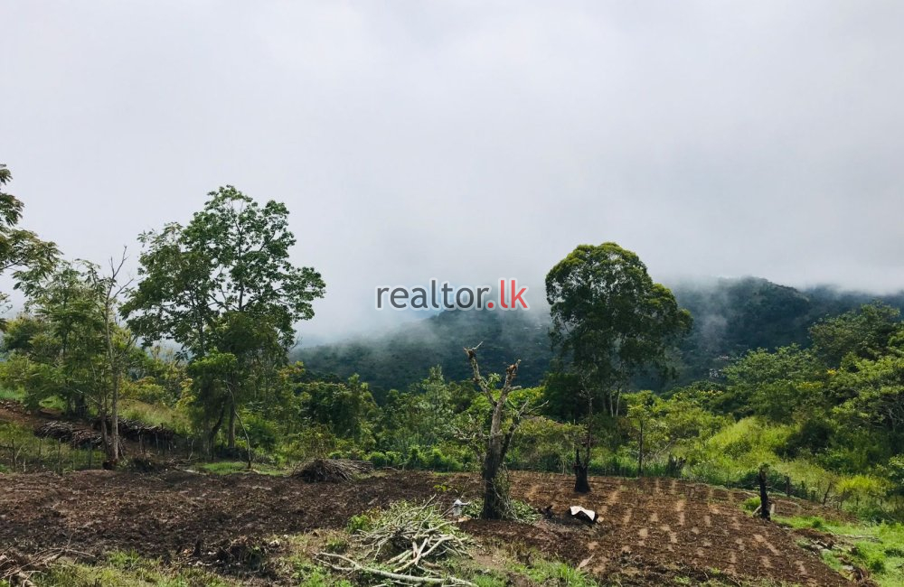 Land For Sale In Ella