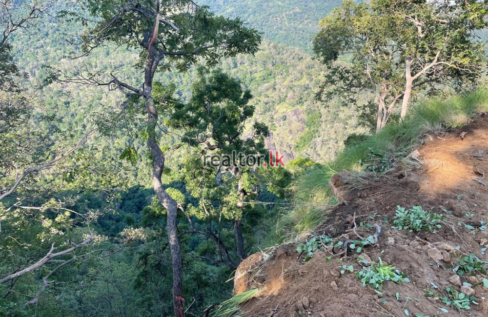 Land For Sale With Breathtaking Views In Ella