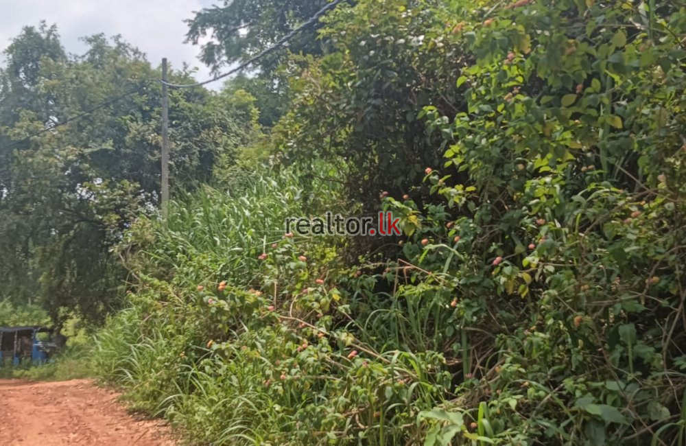 Lakefront Land For Sale In Kandalama