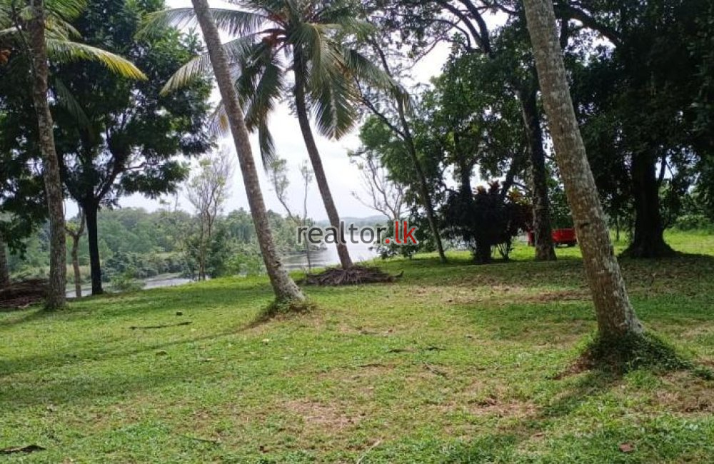 Bolgoda River Facing Land For Sale Panadura