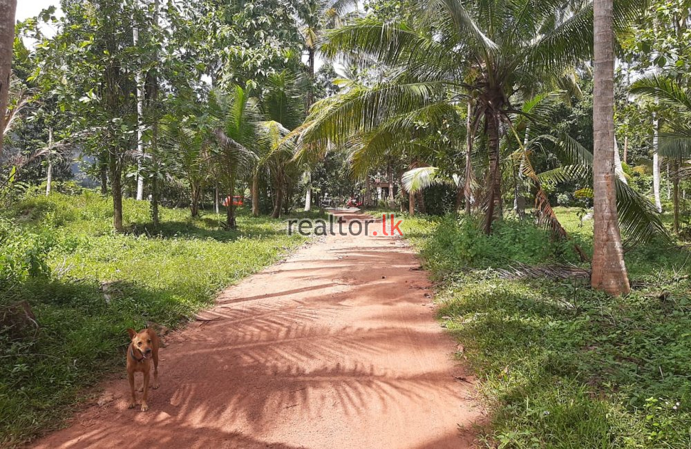 Facing Divulapitiya Rd 15A Land For Sale