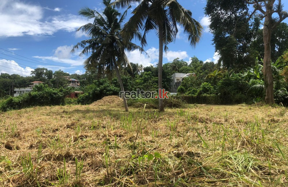 Bare Land for Sale in Battaramulla