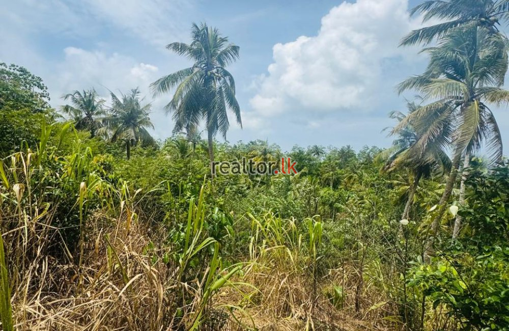 Prime Land For Sale At Weligama