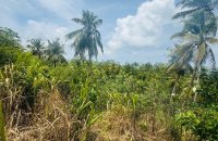 Prime Land For Sale At Weligama