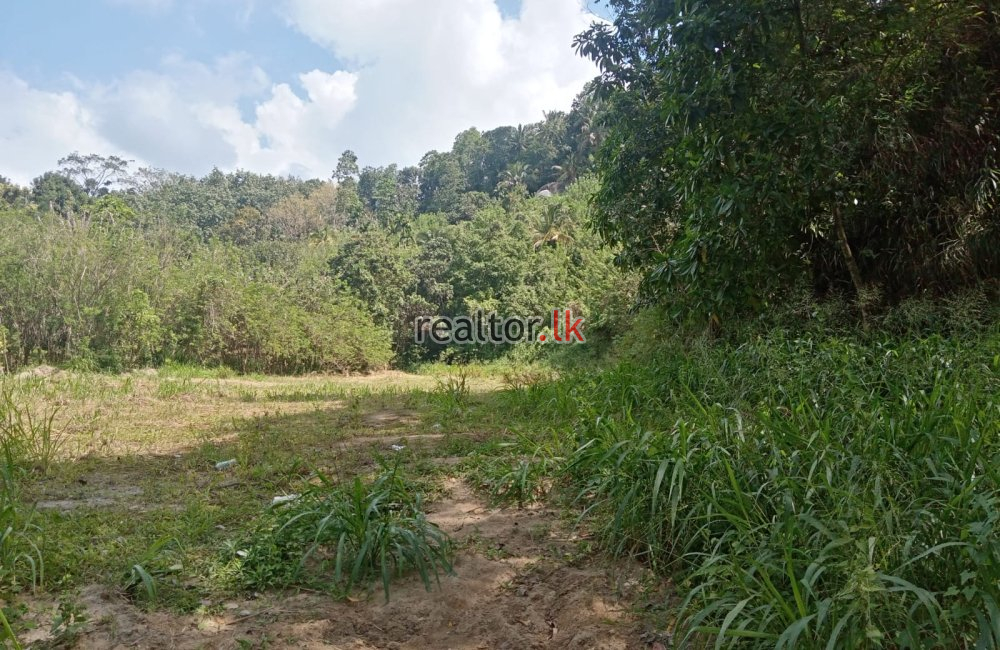 Land For Sale In Kandy Rd Galagedara