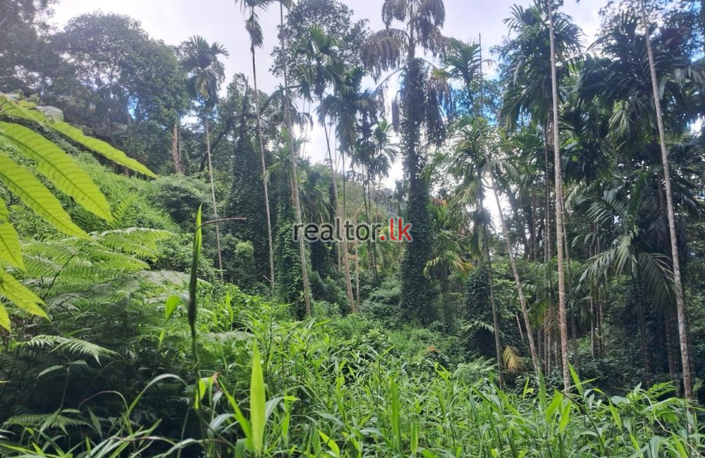 Land For Sale At Deraniyagala