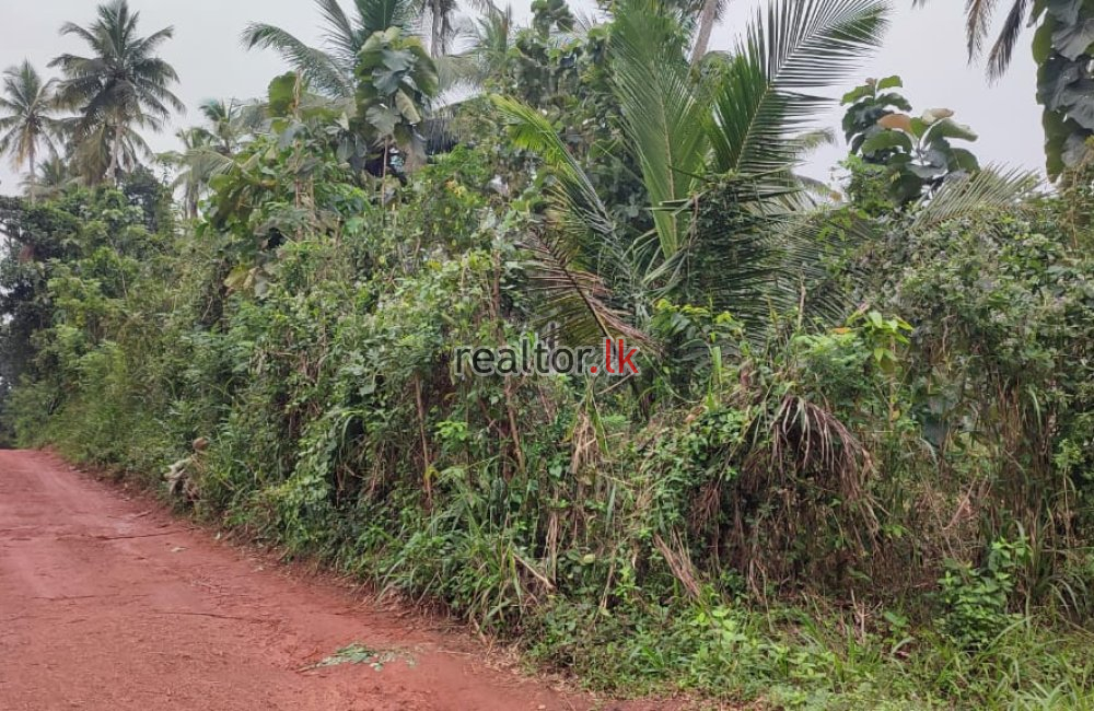 Land For Sale At Sandalankawa