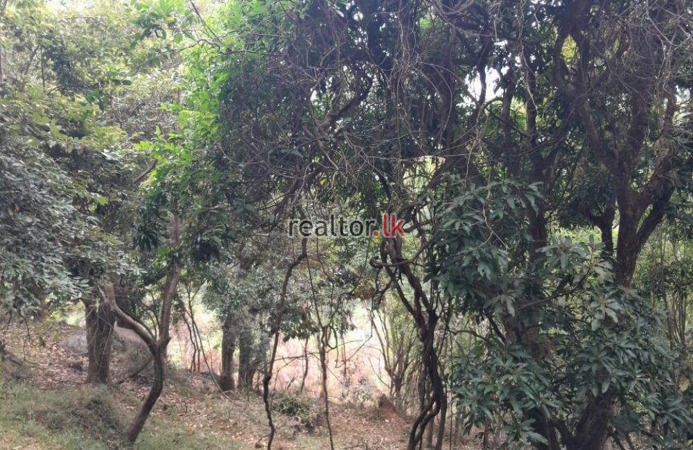 Scenic Land For Sale At Kandy Rd Nuwara Eliya