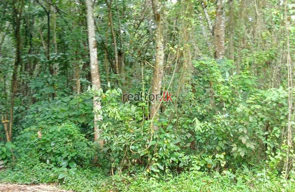 Mahogany Estate For Sale At Matale