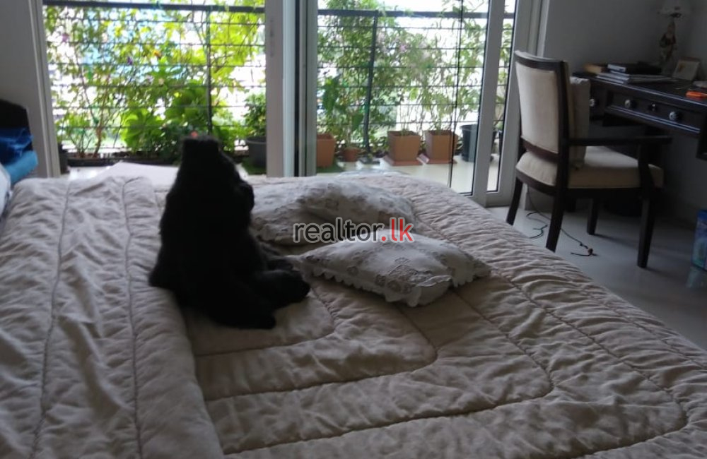 Three Bed For Sale At Clearpoint Residencies