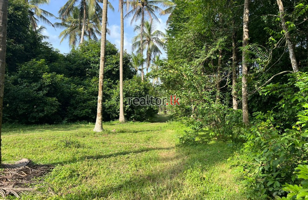 Land For Sale In Pannala