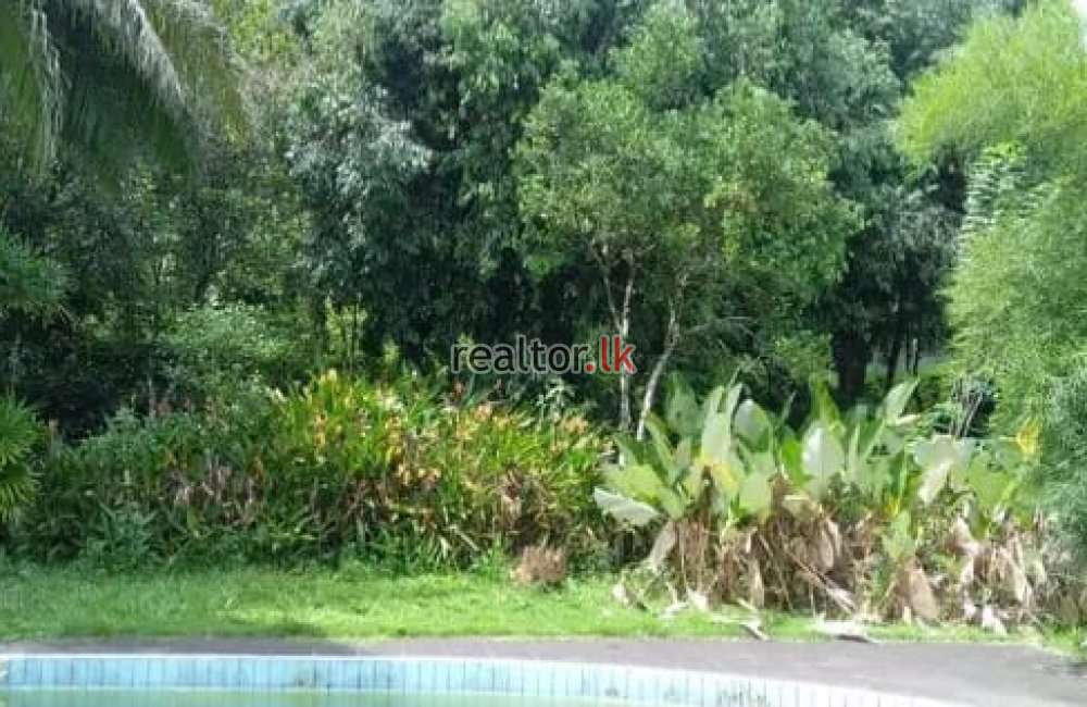 Mixed Estate For Sale In Eheliyagoda