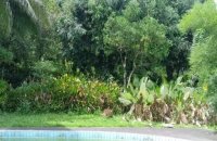 Mixed Estate For Sale In Eheliyagoda