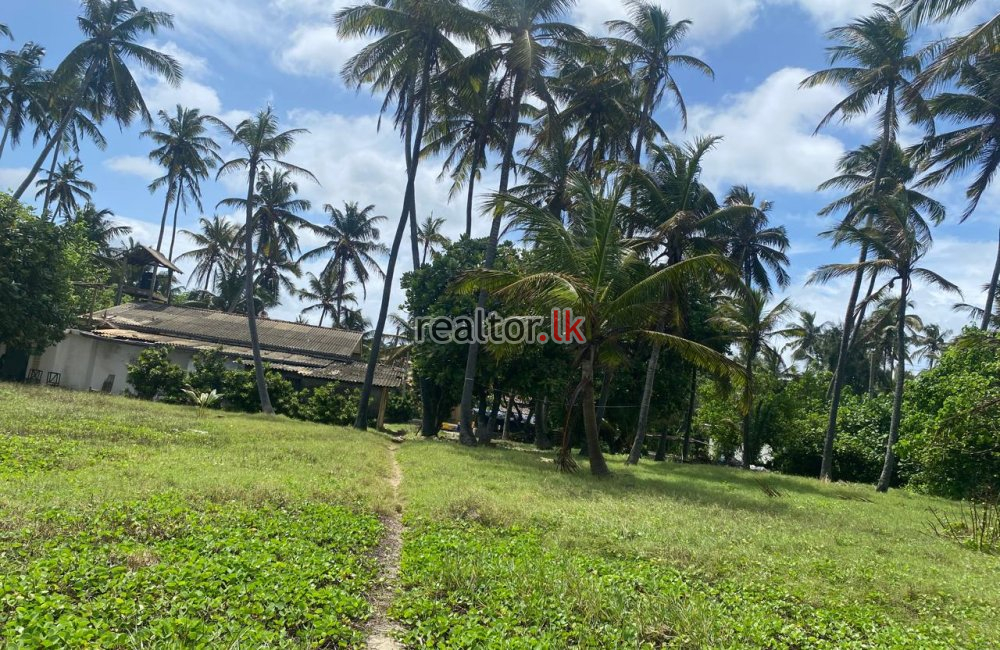 Beach Land For Sale At Uswetakeiyawa