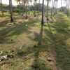 Facing Galle Road Land For Sale