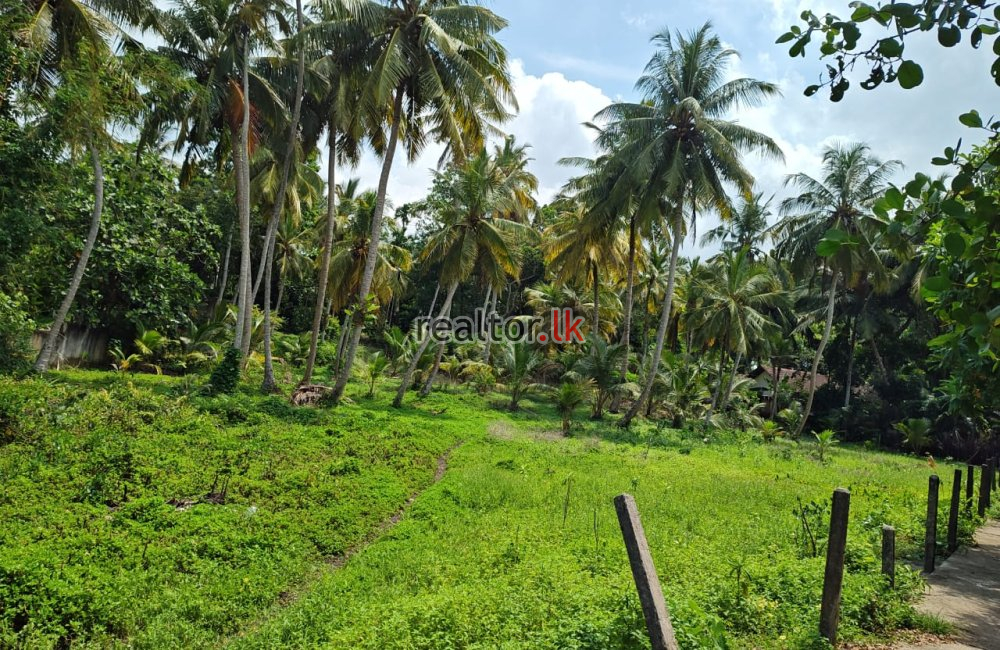 Land For Sale Facing Koggala Lake