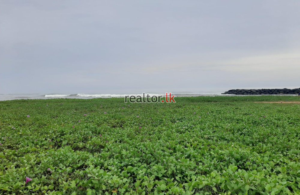 Beachfront Land For Sale In Kammala Waikkala