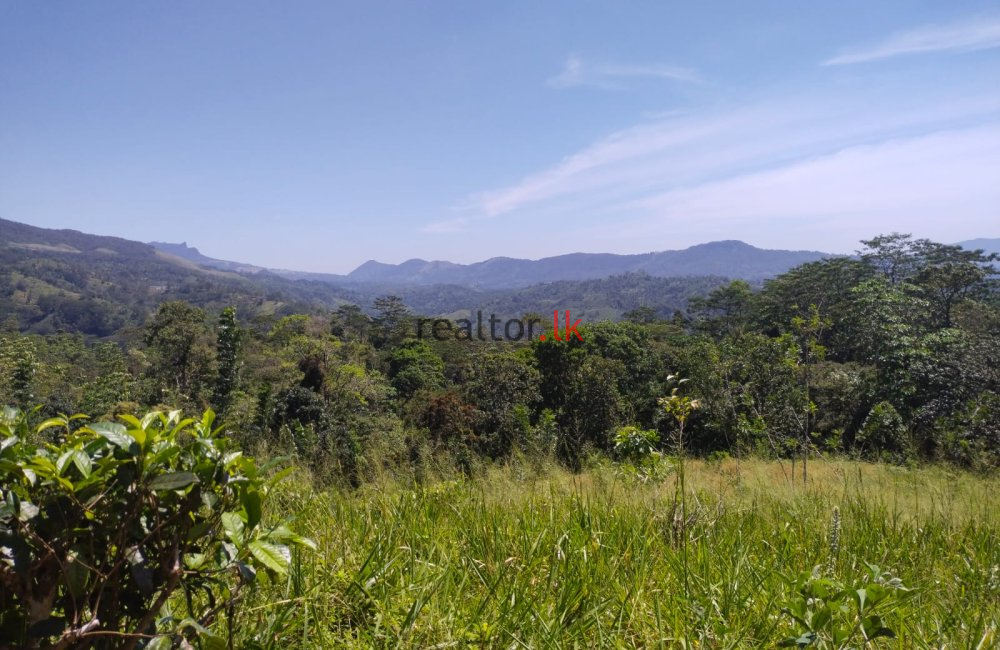 Deniyaya Land For Sale