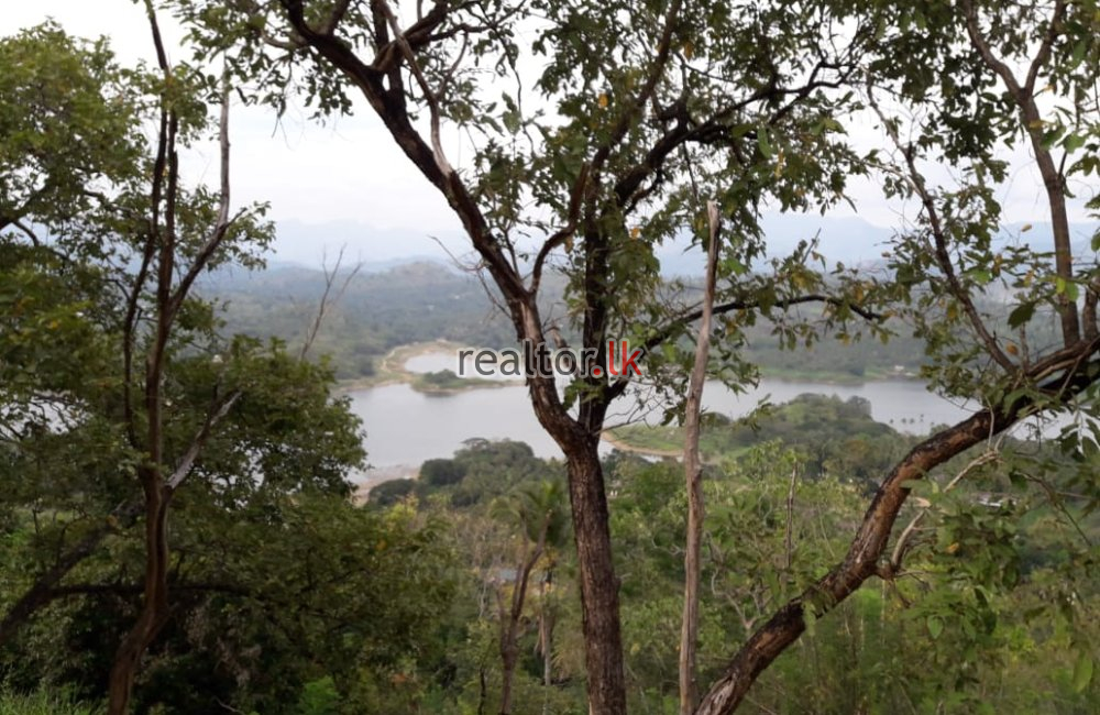 Land For Sale At Raja Mw Kandy