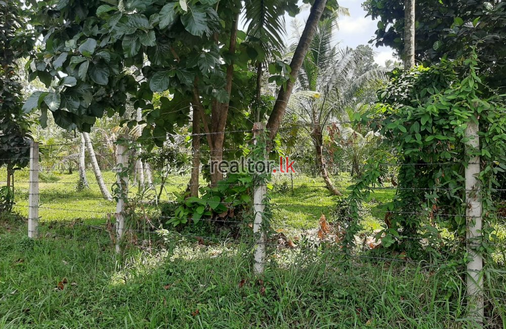 Facing Divulapitiya Rd 15A Land For Sale