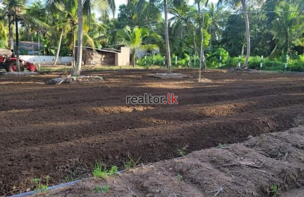 Coir Fiber Factory For Sale In Wariyapola