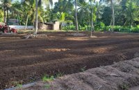 Coir Fiber Factory For Sale In Wariyapola