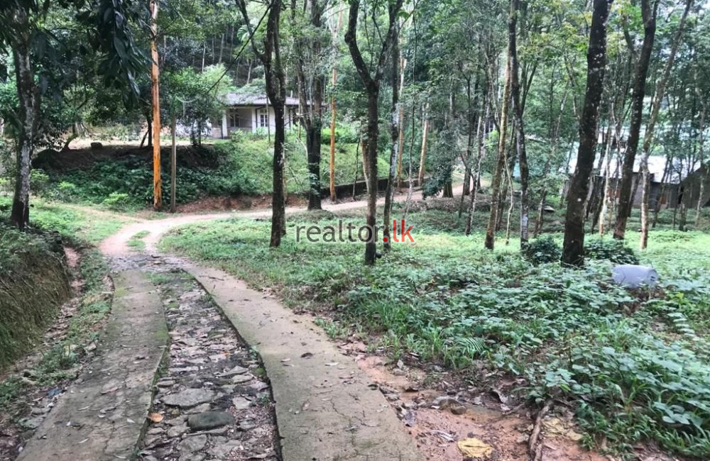 Factory With Rubber Estate For Sale In Ratnapura