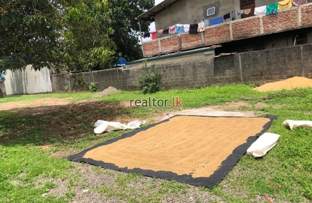 Land For Sale At Hospital Rd Thalawatugoda