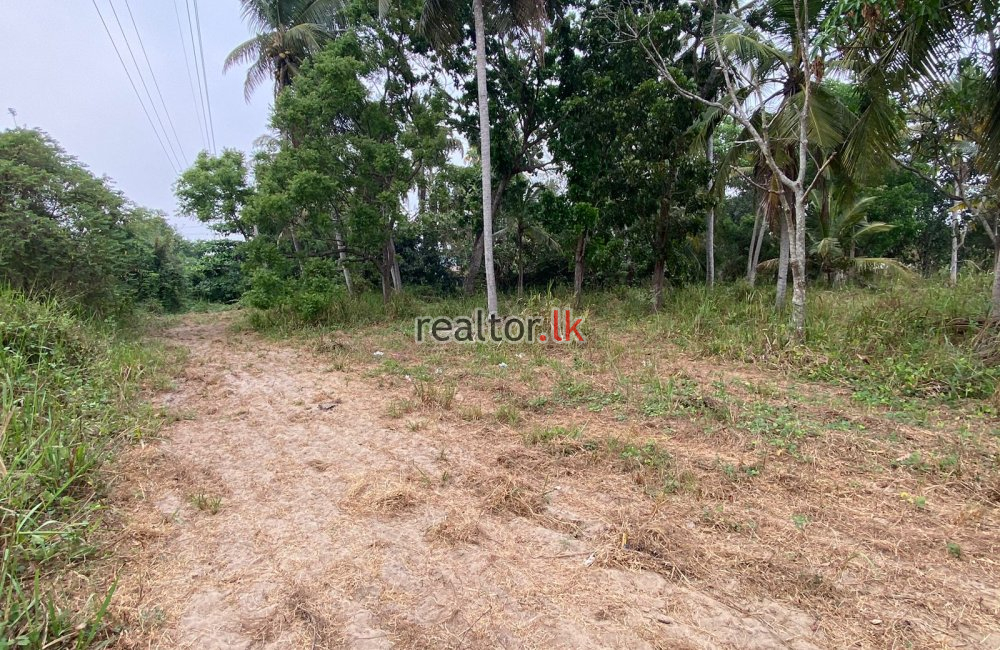Industrial Land For Rent Adjoining Katunayake FTZ