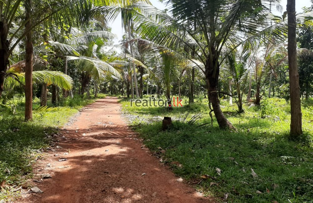 Facing Divulapitiya Rd 15A Land For Sale