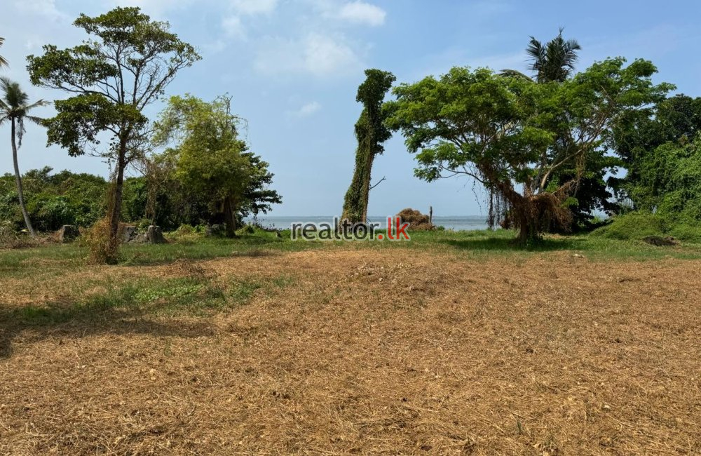 Lagoon Facing Land For Sale At Katunayake