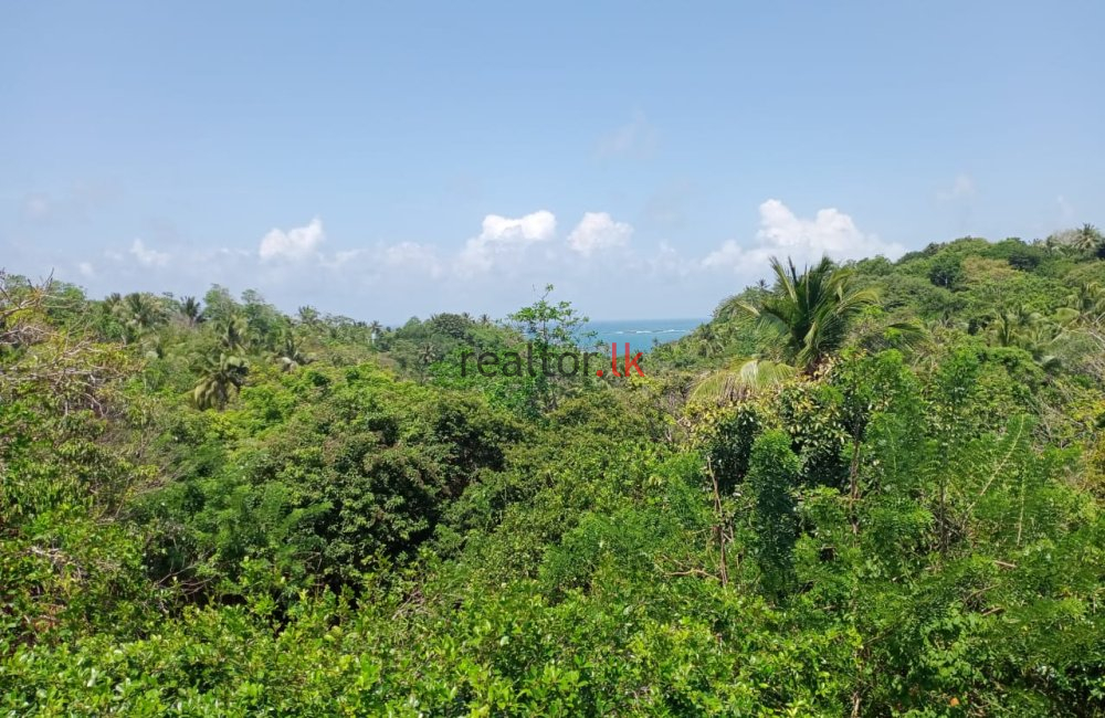 Rumassala Land For Sale