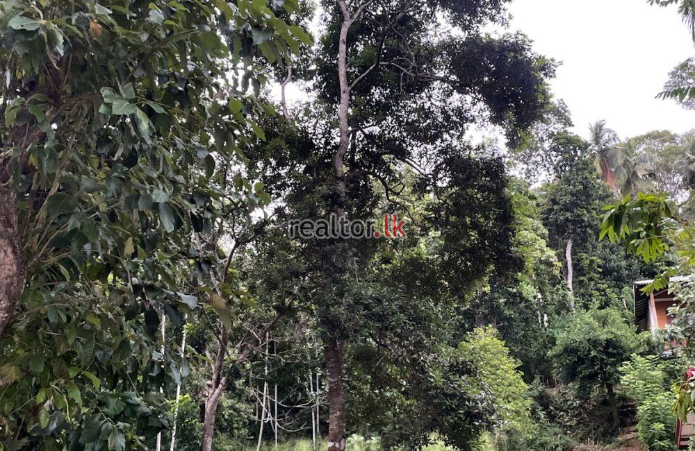 Land For Sale In Hiriketiya