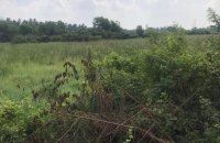 Land For Sale At Andiambalama Road