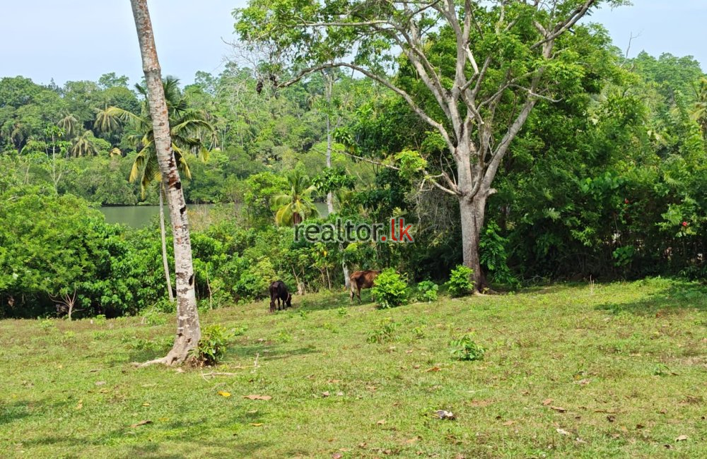 Land For Sale At Facing Koggala Lake